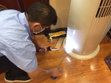 顺德专业治白蚁公司高层住宅就不会有白蚁吗？