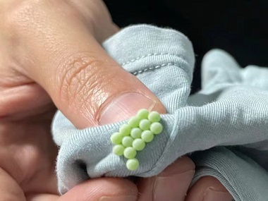 佛山四害消杀机构科学防治:三步彻底除臭虫