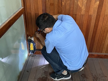 南海验收白蚁中心正确的灭蚁方式是什么